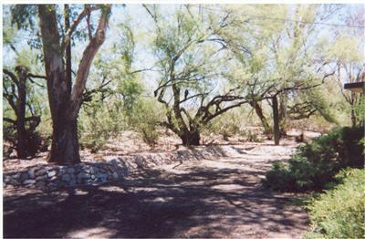 3661 E Roger Rd, Tucson, AZ 85718 photo 9