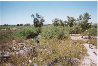 3661 E Roger Rd, Tucson, AZ 85718 photo 7