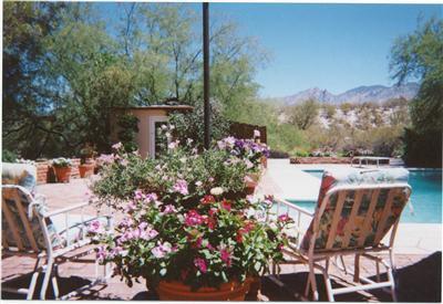 3661 E Roger Rd, Tucson, AZ 85718 photo 6