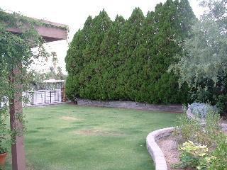 3311 N Camino Los Brazos, Tucson, AZ 85750 photo 8