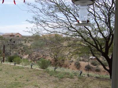 1161 N Reta Dr, Vail, AZ 85641 photo 4