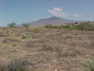 25095 E Comanche Trl, Benson, AZ 85602 photo 1