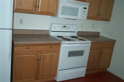 1003 Elm St, Tucson, AZ 85719 photo 4