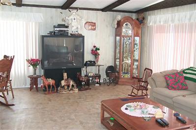 9237 N Bumble Bee Ln, Pearce, AZ 85625 photo 1