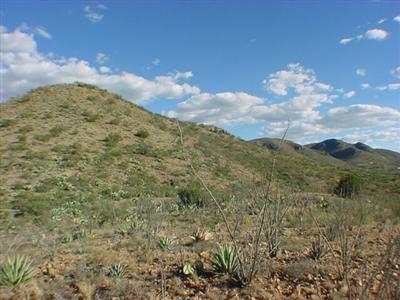 15423 E Hilton Ranch Rd, Vail, AZ 85641 photo 7