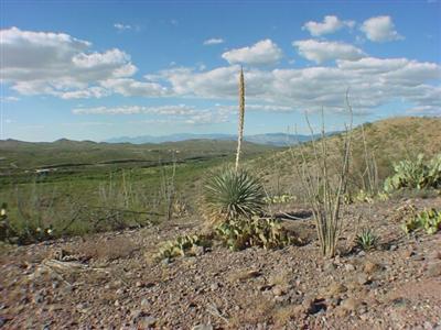 15423 E Hilton Ranch Rd, Vail, AZ 85641 photo 9