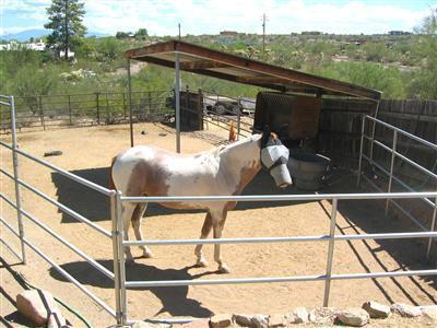 5710 W Belmont Rd, Tucson, AZ 85743 photo 3