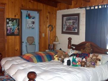 2121 N Rita Ave, Tucson, AZ 85716 photo 6