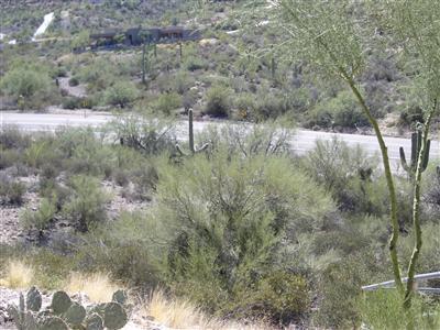 4120 W Anklam Rd, Tucson, AZ 85745 photo 7