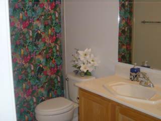 8188 N Camino De La Viola, Tucson, AZ 85741 photo 8