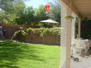 8188 N Camino De La Viola, Tucson, AZ 85741 photo 6