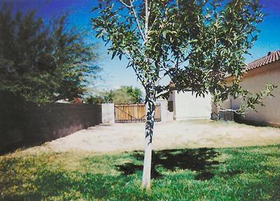 8702 E Getsinger Ln, Tucson, AZ 85747 photo 8
