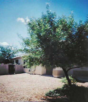 8702 E Getsinger Ln, Tucson, AZ 85747 photo 6