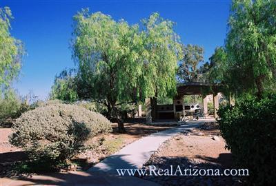 7900 E Cloud Rd, Tucson, AZ 85750 photo 8