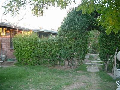5902 E 26th St, Tucson, AZ 85711 photo 2