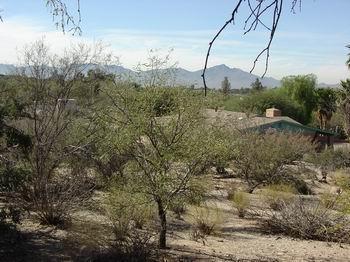 1601 W Calle Concordia, Tucson, AZ 85737 photo 10