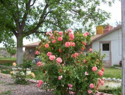 0 960 Heartleaf Ln, Benson, AZ 85602 photo 2