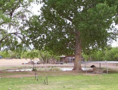 0 960 Heartleaf Ln, Benson, AZ 85602 photo 3