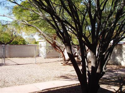 2601 E Beverly Dr, Tucson, AZ 85716 photo 3