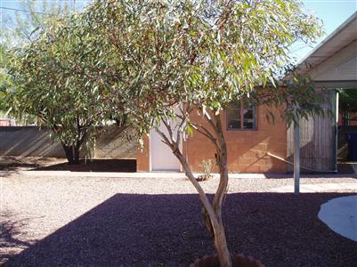 2601 E Beverly Dr, Tucson, AZ 85716 photo 4