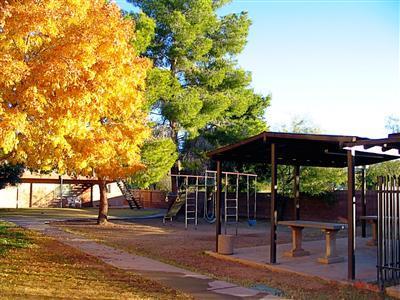 1337 E Allen Rd, Tucson, AZ 85719 photo 6