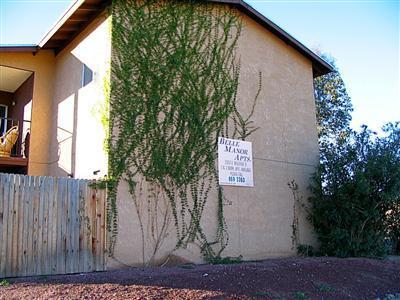 3202 E Bellevue St, Tucson, AZ 85716 photo 4