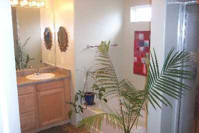 13744 E Shadow Pines Ln, Vail, AZ 85641 photo 6