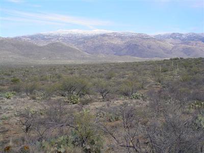 15745 E Camino Dos Hermanas, Vail, AZ 85741 photo 2