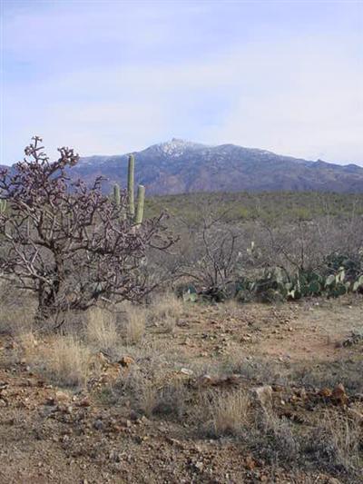 15745 E Camino Dos Hermanas, Vail, AZ 85741 photo 1