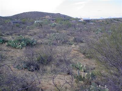 15745 E Camino Dos Hermanas, Vail, AZ 85741 photo 4