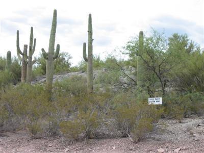 17463 E Marsh Station Rd, Vail, AZ 85641 photo 1