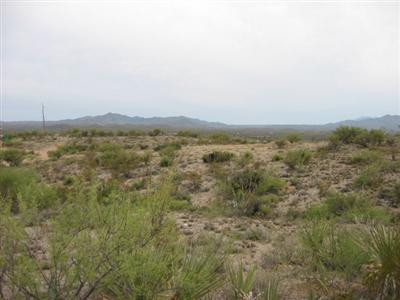 17463 E Marsh Station Rd, Vail, AZ 85641 photo 5