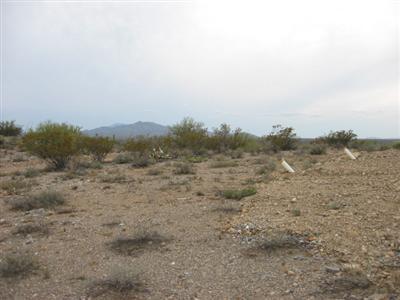17463 E Marsh Station Rd, Vail, AZ 85641 photo 7