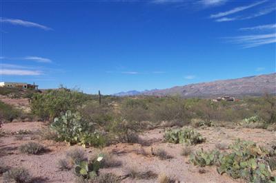 15252 E Two Bar Z Ranch Pl, Vail, AZ 85641 photo 4