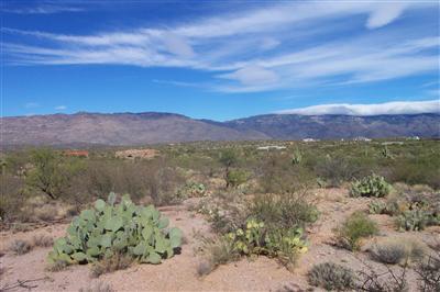 15252 E Two Bar Z Ranch Pl, Vail, AZ 85641 photo 2