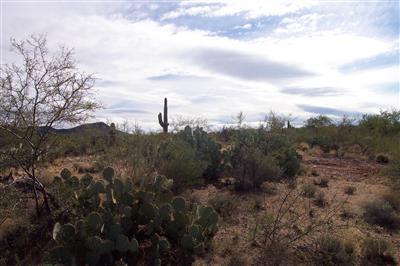 15252 E Two Bar Z Ranch Pl, Vail, AZ 85641 photo 6