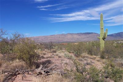 15252 E Two Bar Z Ranch Pl, Vail, AZ 85641 photo 3