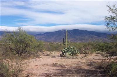 15252 E Two Bar Z Ranch Pl, Vail, AZ 85641 photo 1