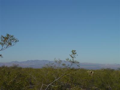 16586 S Saguaro View Ln, Vail, AZ 85641 photo 1