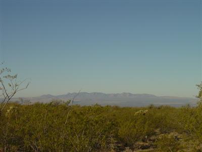 16586 S Saguaro View Ln, Vail, AZ 85641 photo 4