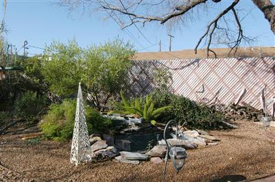 932 S 3rd Ave, Tucson, AZ 85701 photo 5