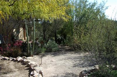 6255 W Sunset Rd, Tucson, AZ 85743 photo 3