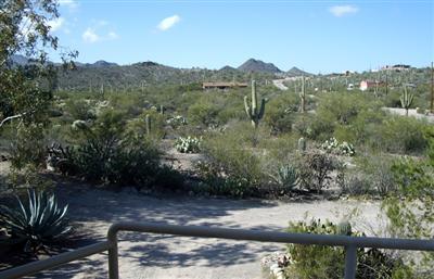 6255 W Sunset Rd, Tucson, AZ 85743 photo 6