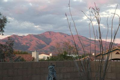 10735 E Migratory Pl, Tucson, AZ 85748 photo 8