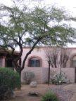 4251 E Allison Rd, Tucson, AZ 85712 photo 2