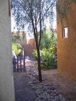 7658 E Chase Park Loop, Tucson, AZ 85710 photo 10