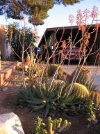 1902 E 9th St, Tucson, AZ 85719 photo 2