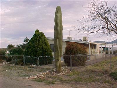 3163 W Wren Dr, Benson, AZ 85602 photo 5