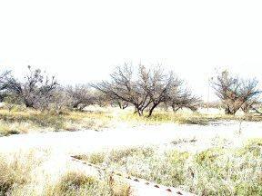 13545 S Bell Rd, Benson, AZ 85602 photo 9