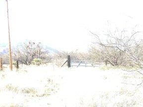 13545 S Bell Rd, Benson, AZ 85602 photo 2